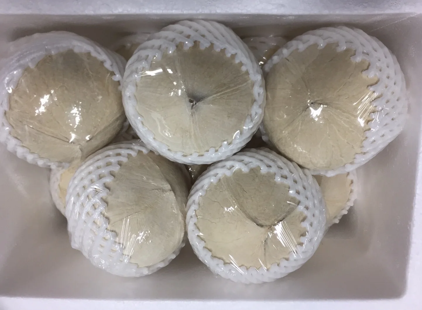 Premium Fresh Coconut from Thailand 100% Natural Premium Grade of Fresh Coconut The Best Seller