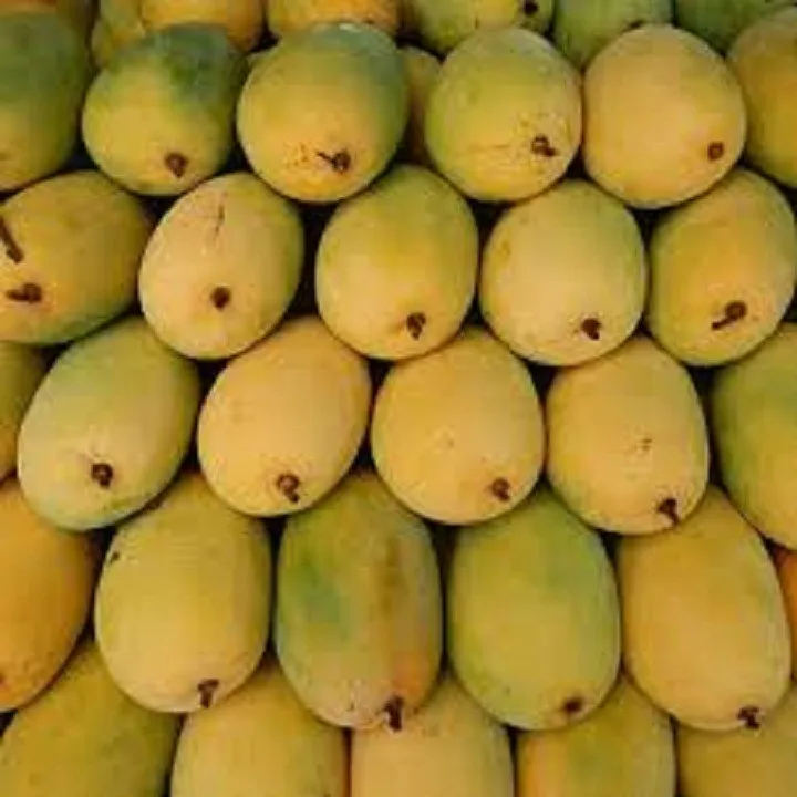 Exporter Wholesale Bulk Fruit Pulp Frozen Mango With Best Price from Vietnam