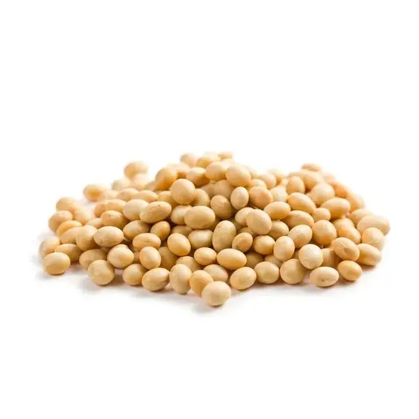 High Quality Premium Natural and Non- GMO Yellow Soybean Seeds / Soya Bean /Soy Beans