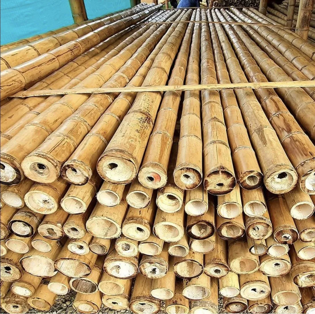 Wholesale Cheap Hot Selling Bamboo Material Eco - Friendly Dry Large Bamboo Poles For Construction