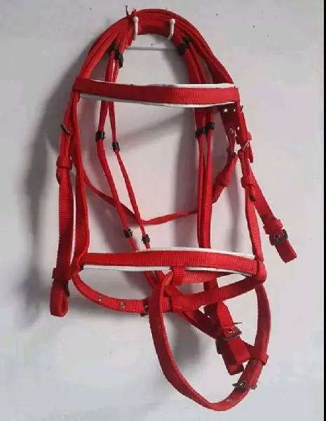 Equestrian Padded Headstall Reins Horse unique custom handmade horse riding halter bridle affordable price manufacturers India