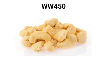 Healthiest Premium Quality W180, W210, W240, and W320 Raw Cashew Nuts Best Seller From Vietnam