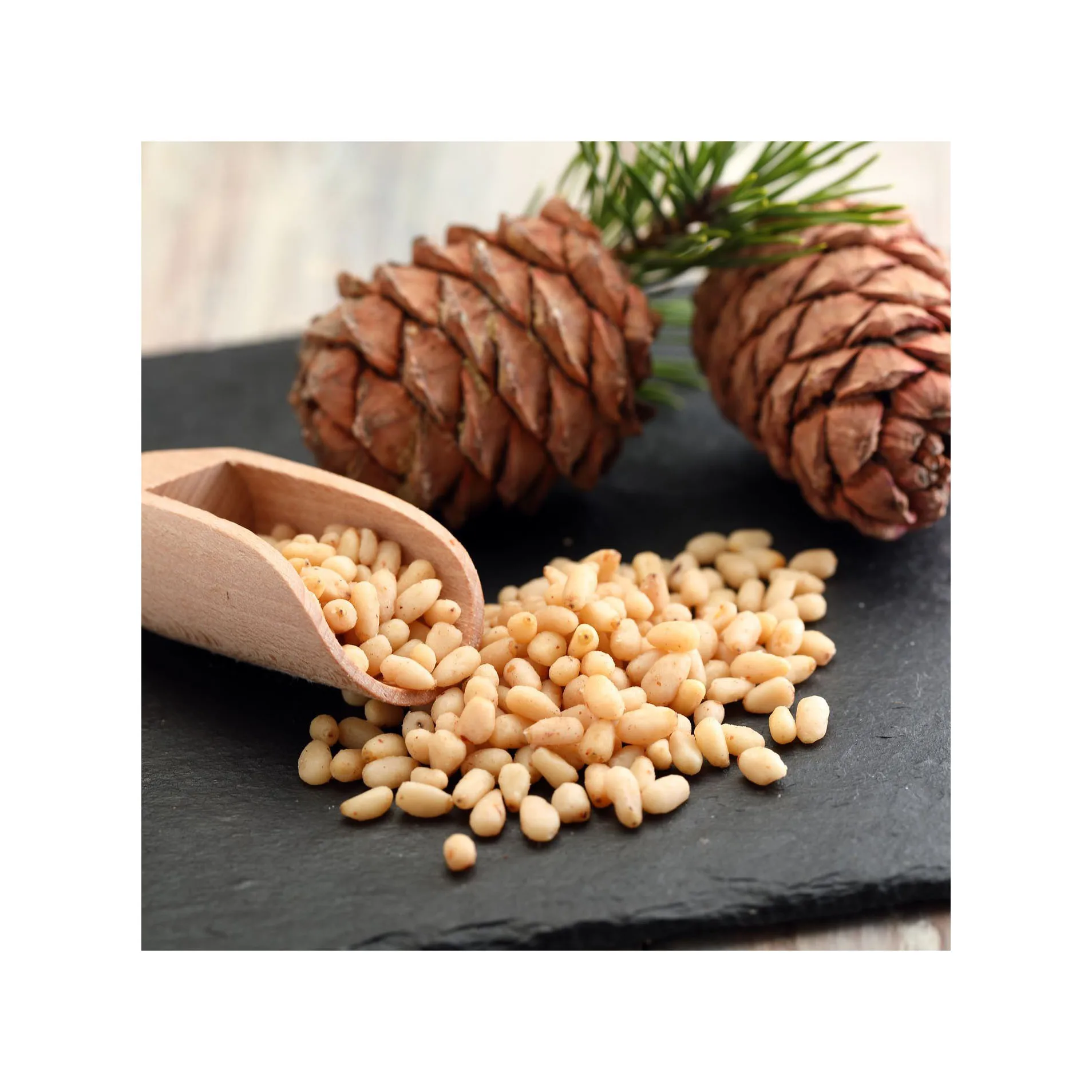 Good Quality Top Selling Pine Nuts Chilgoza Available In Custom Packing