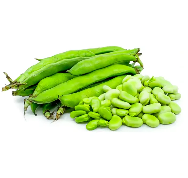 Fresh Raw Material IQF Frozen Green Beans Whole Frozen Green Soy Beans Frozen Vegetables