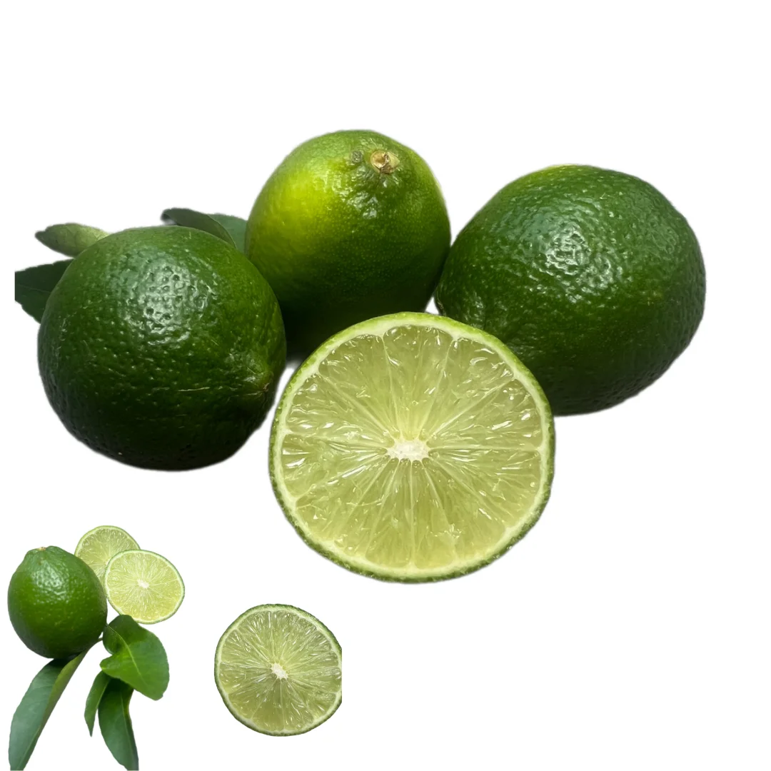 Fresh Lemon, Lime Organic, Lime Fruit, Limon Packed In Box Made In Vietnam, Seedless Fruit To Dubai Bangladesh UAE