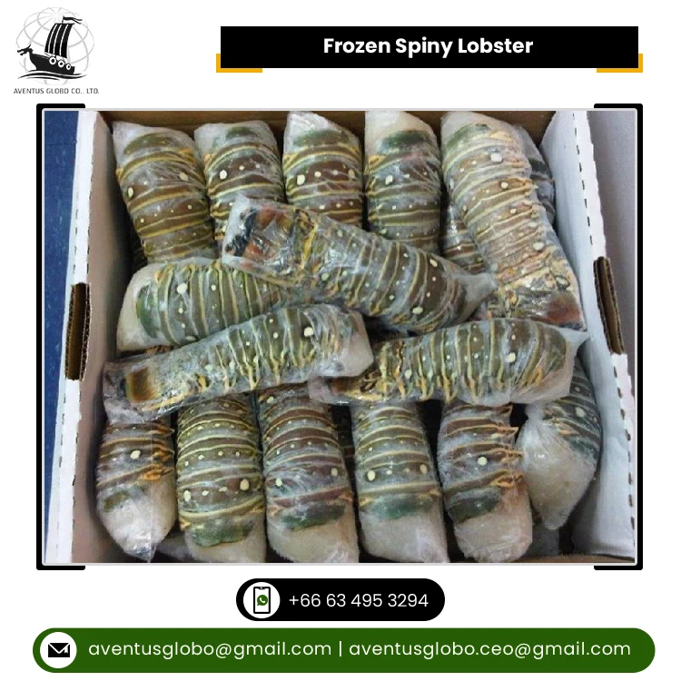 Thailand Origin Supplier of Highly Nutritious Seafood Whole Round Cooked Frozen Spiny Lobster at Reliable Market Price