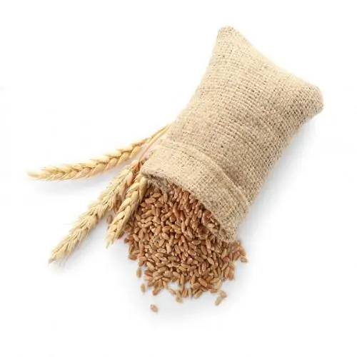 High Quality Natural Whole Wheat Grain Dried Style