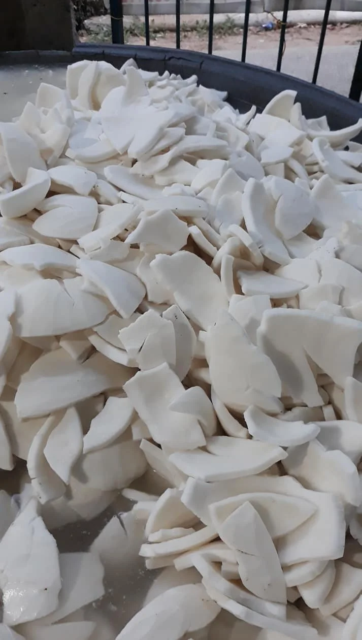 FROZEN COCONUT FLESH FREE CHOLESTEROL AND GOOD FOR HEALTH - WHATSAPP 0084 989 322607
