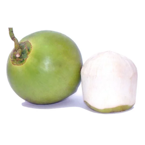 Ben Tre siamese coconut water diamond shape has the aroma of coconut with a sweet taste from factory Vietnam