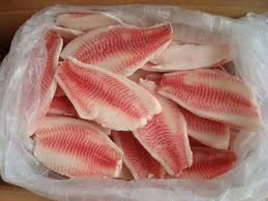 Frozen Tilapia Fillet Fish Fresh From Indonesia