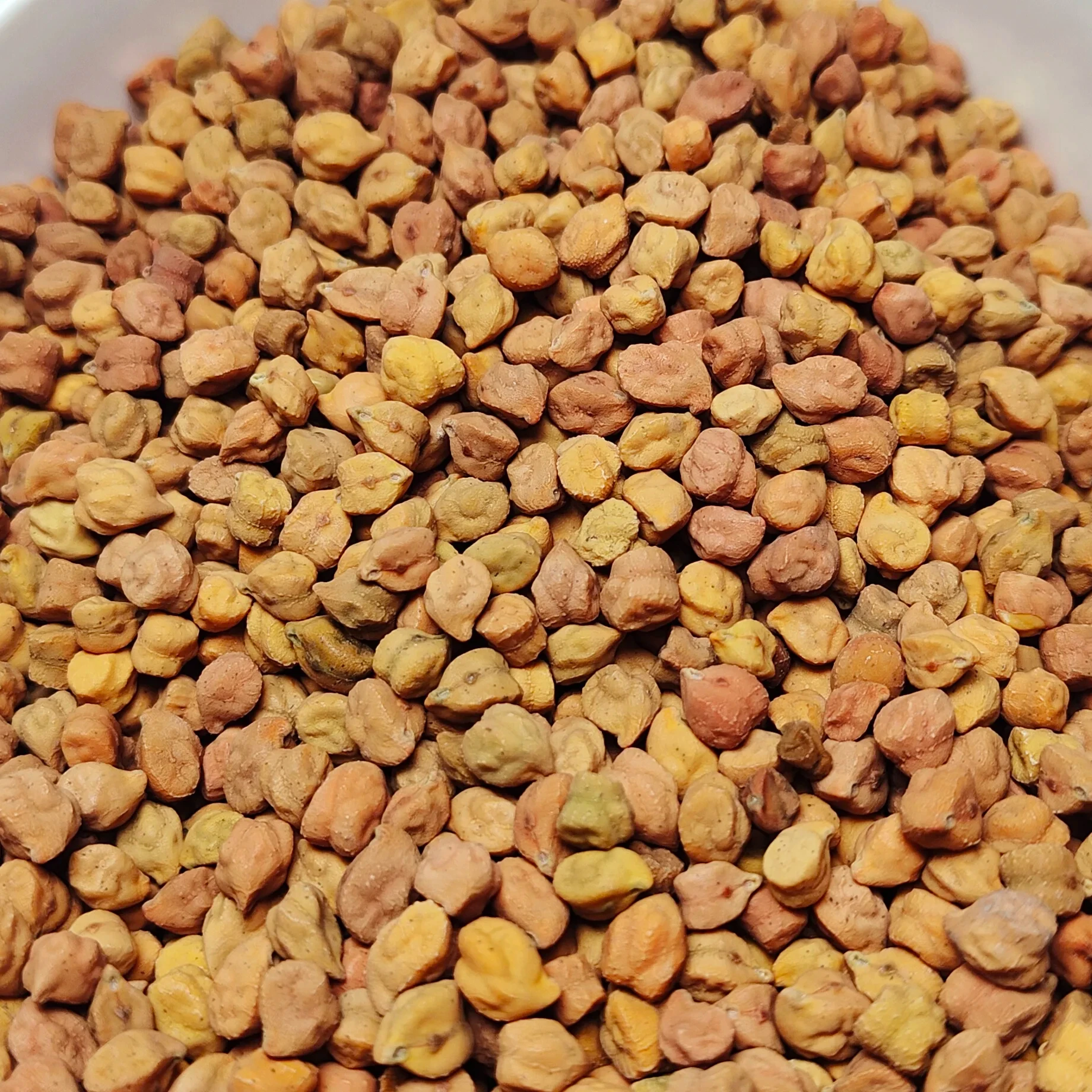 Ethiopian High-Quality Desi Chickpeas HPS Quality New Harvest 2024 Export Standard PP Bags Top Quality