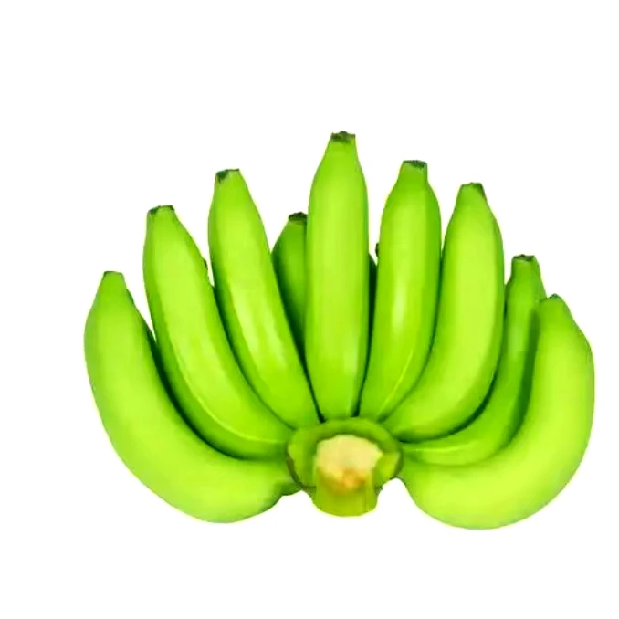 Factory Price For Fresh Cavendish Bananas From Ecuador