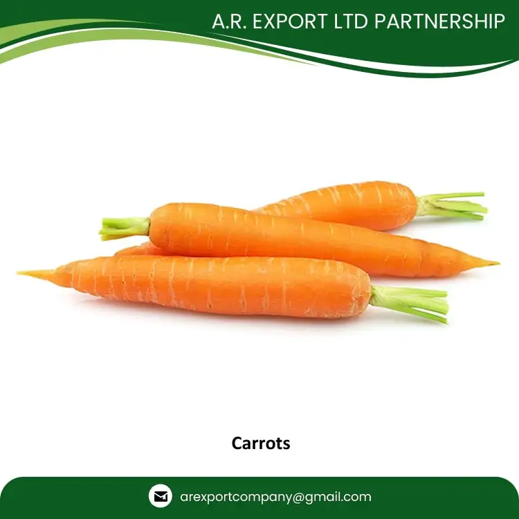 Genuine Quality Wholesale Selling Common Cultivation Type 100% Natural & Fresh Red Carrots at Low Market Price