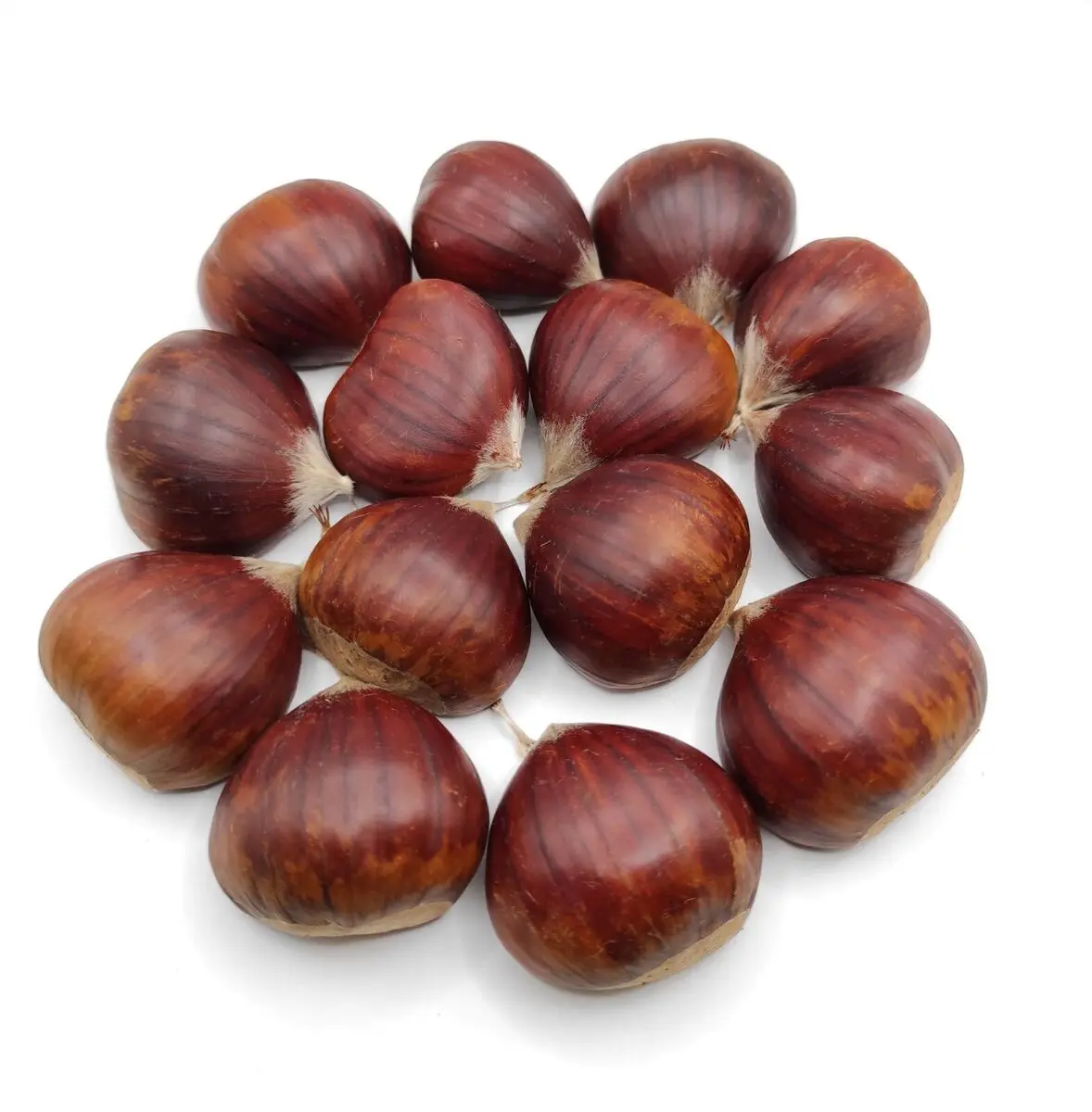 High quality snack wholesale price chestnut edible fresh raw whole chestnuts for sale