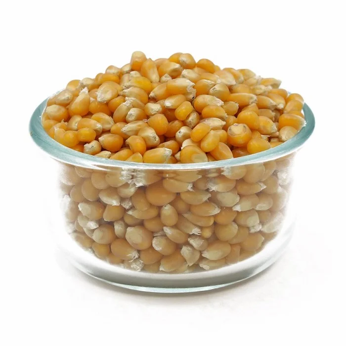 Natural White Maize Corn Fresh Yellow Corn White Corn In Stock