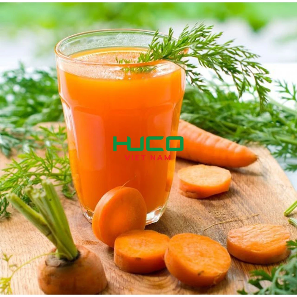 Selected quality fresh carrot 100-250 gram Vietnam factory export for export in bulk