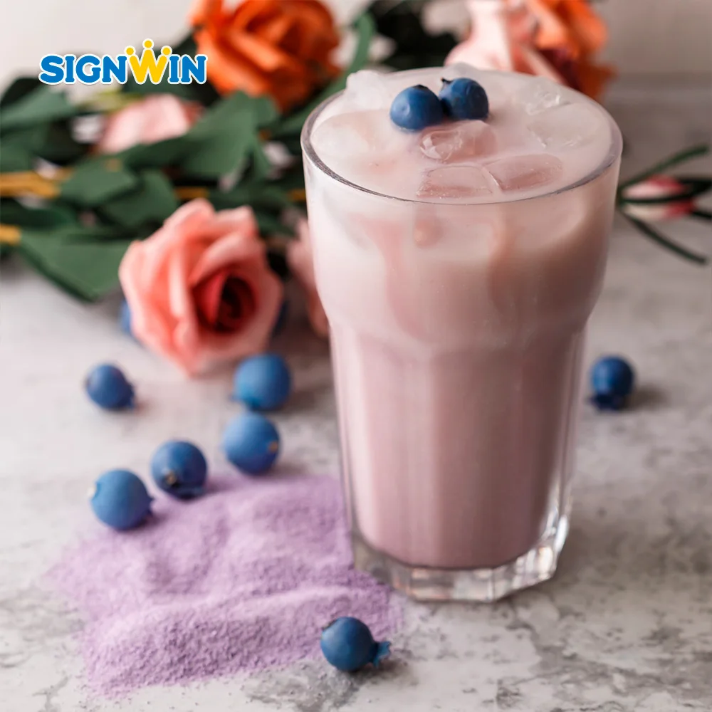 SIGNWIN-2 в 1 порошке со вкусом черники