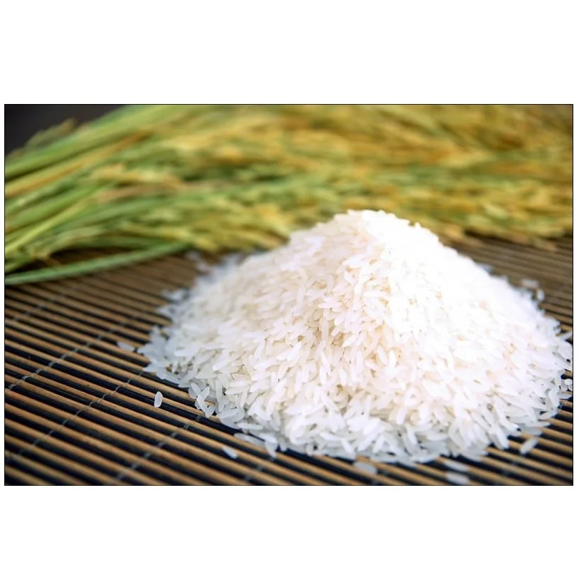 Hot Sale Top Selling Best Rice From Turkey High Quality White Rice Cheap Affordable First grade rice