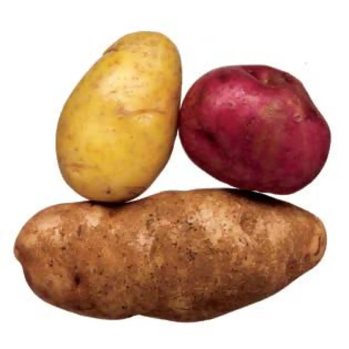 fresh potato seed price in China/potato wholesale price/sweet