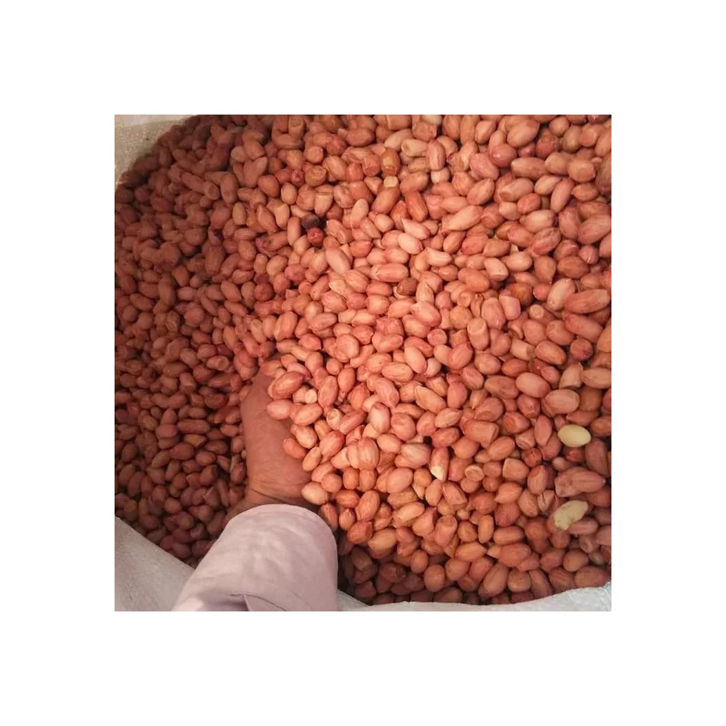 Good quality peanuts 100% Natural peanut Peanut without shell