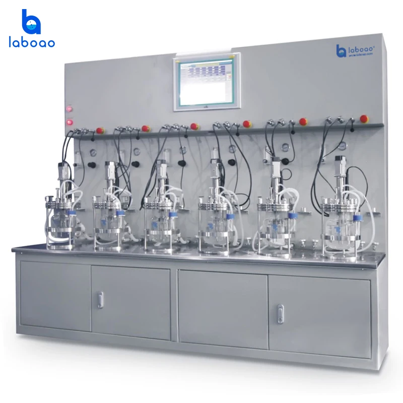 Laboao Microorganisms Vaccine Bioreactor Laboratory Fermentor