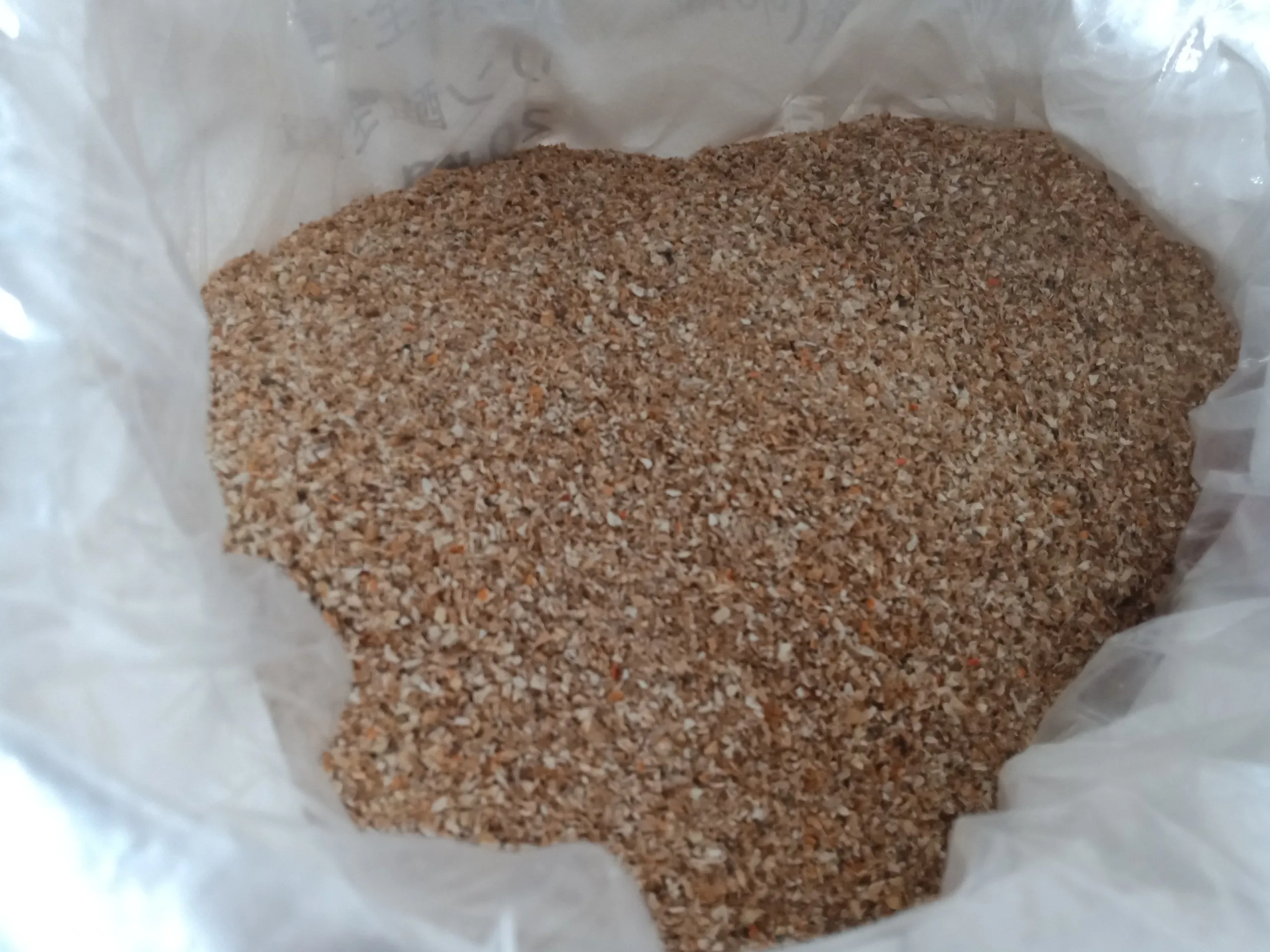 Natural Scallop Shell Washing Powder Offering low price Scallop Shell Calcium Hydroxide Powder For Disinfection ANGLE