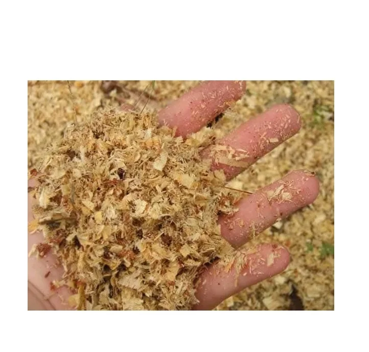 Supplier of agriculture waste sawdust for sale in bulk with affordable price