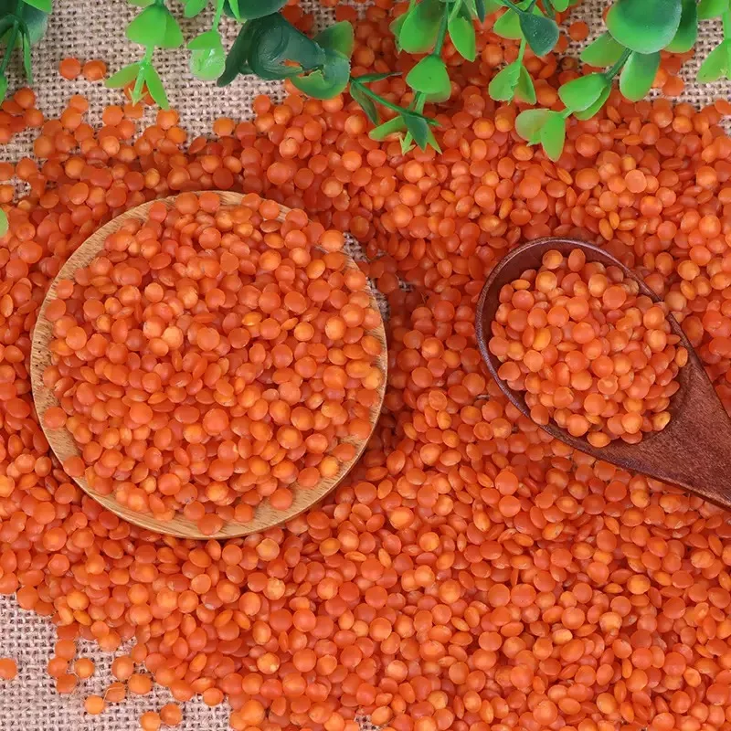 Quick Sale Bulk Dried whole split Lentils Red Lentils Green Lentils Lentils(Red, Green, black and white)