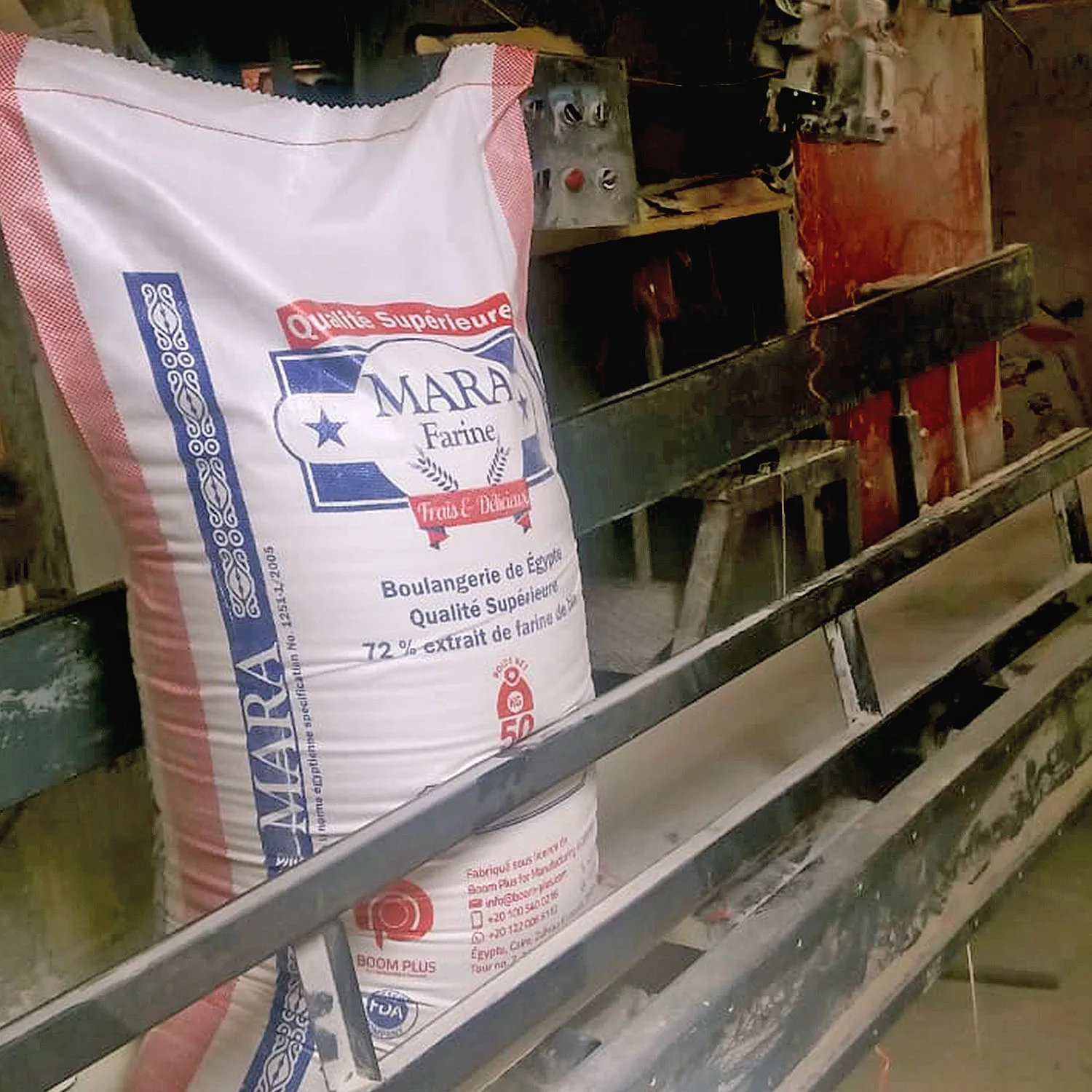 Wheat Flour 50 kg T55 Mara All-Purpose Bulk Order Wholesale Bakery Flour High-Quality Competitive Prices