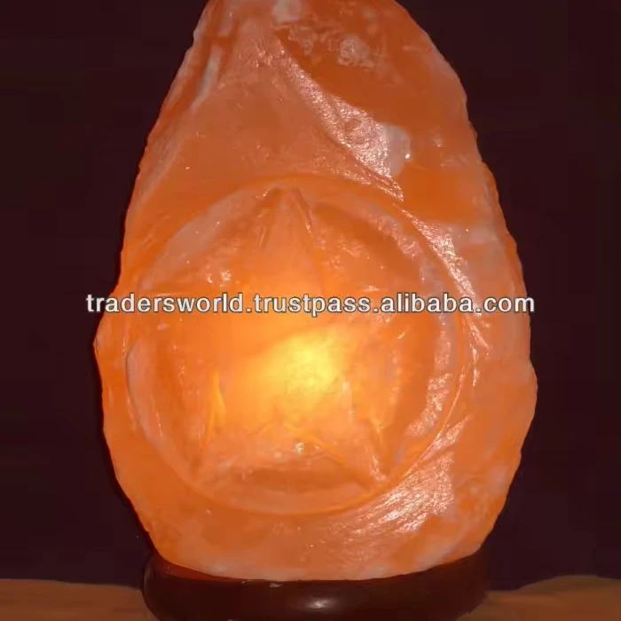 Himalayan Salt Lamps in Natural Shapes Home Decoration Bowl Animal Flower Nautical Styles Customizable Embossed Designs