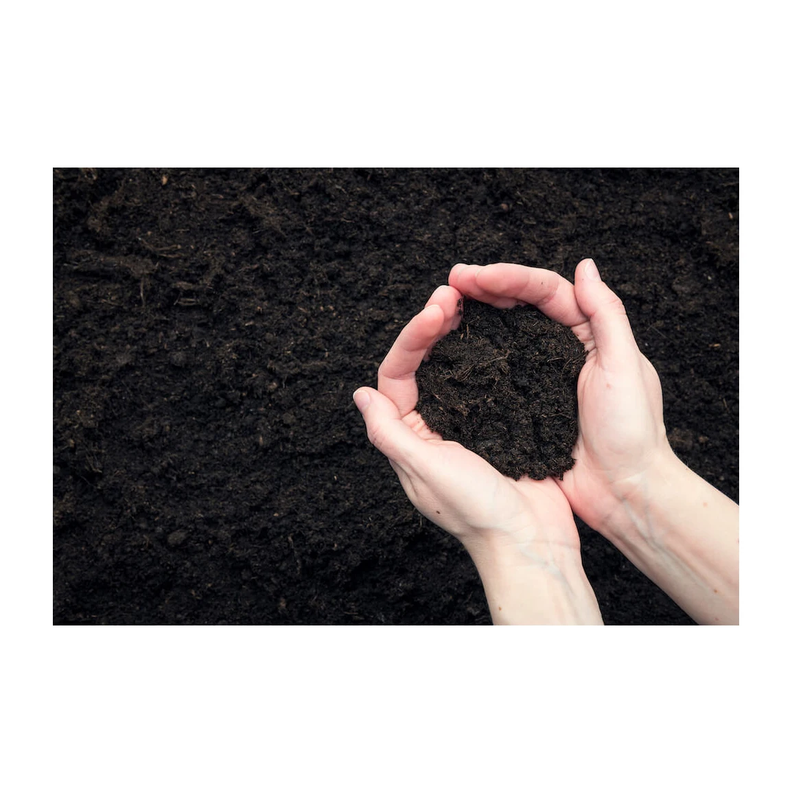 Hot Selling Advantages Green peat  Advantages Green Organic Fertilizer