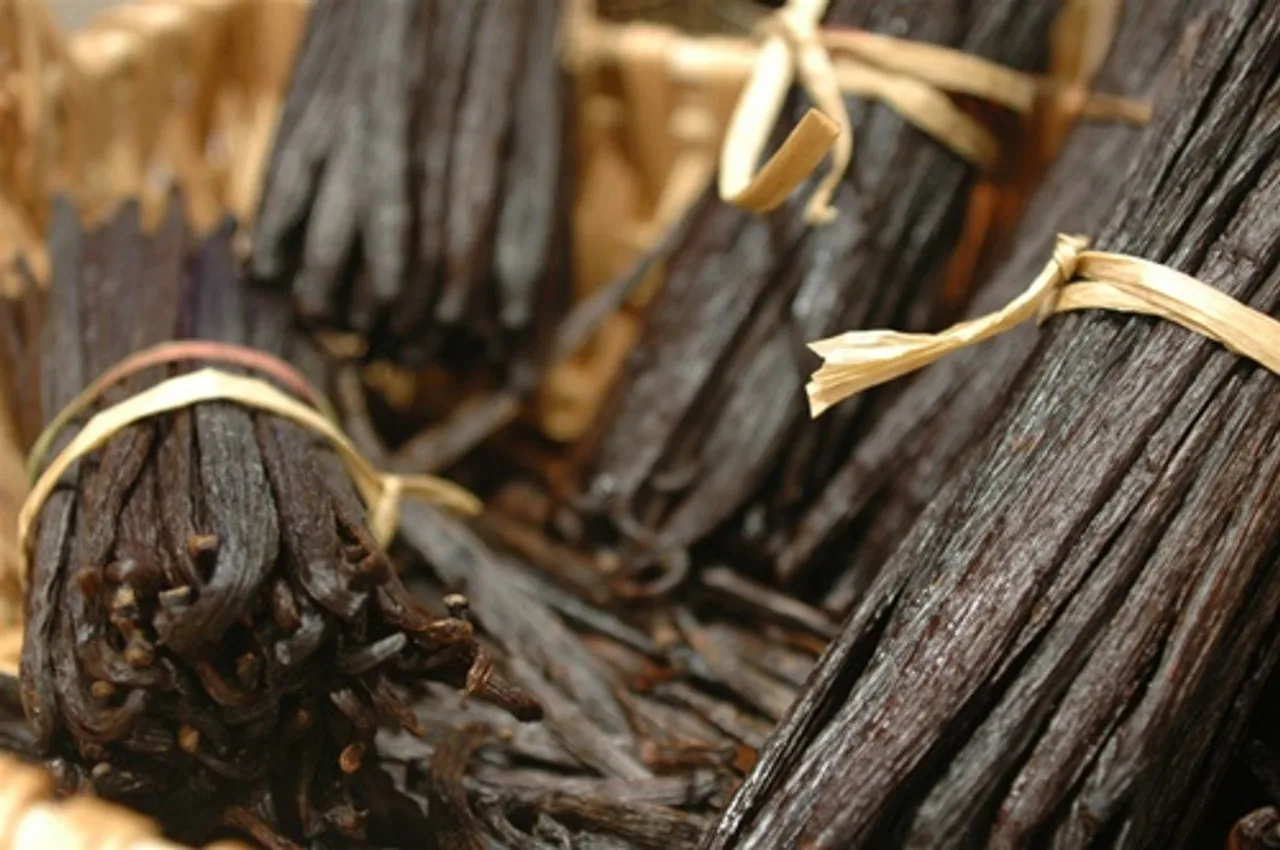 Vanilla Beans02.jpg