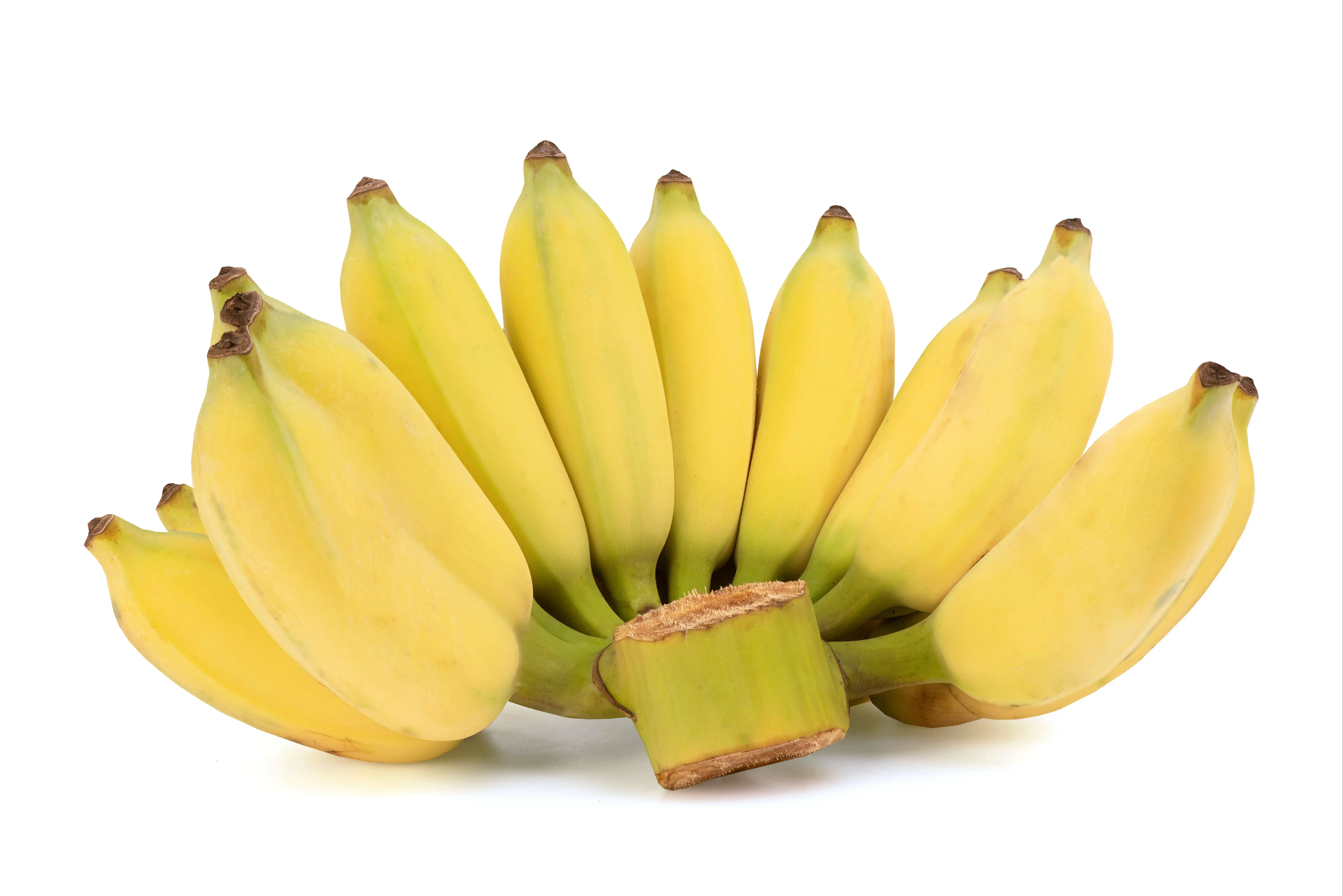 Желтые бананы, лучшие цены, высококачественные тропические фрукты, вьетнамские кавендишские зеленые бананы премиум-класса от производителя Viet Nam