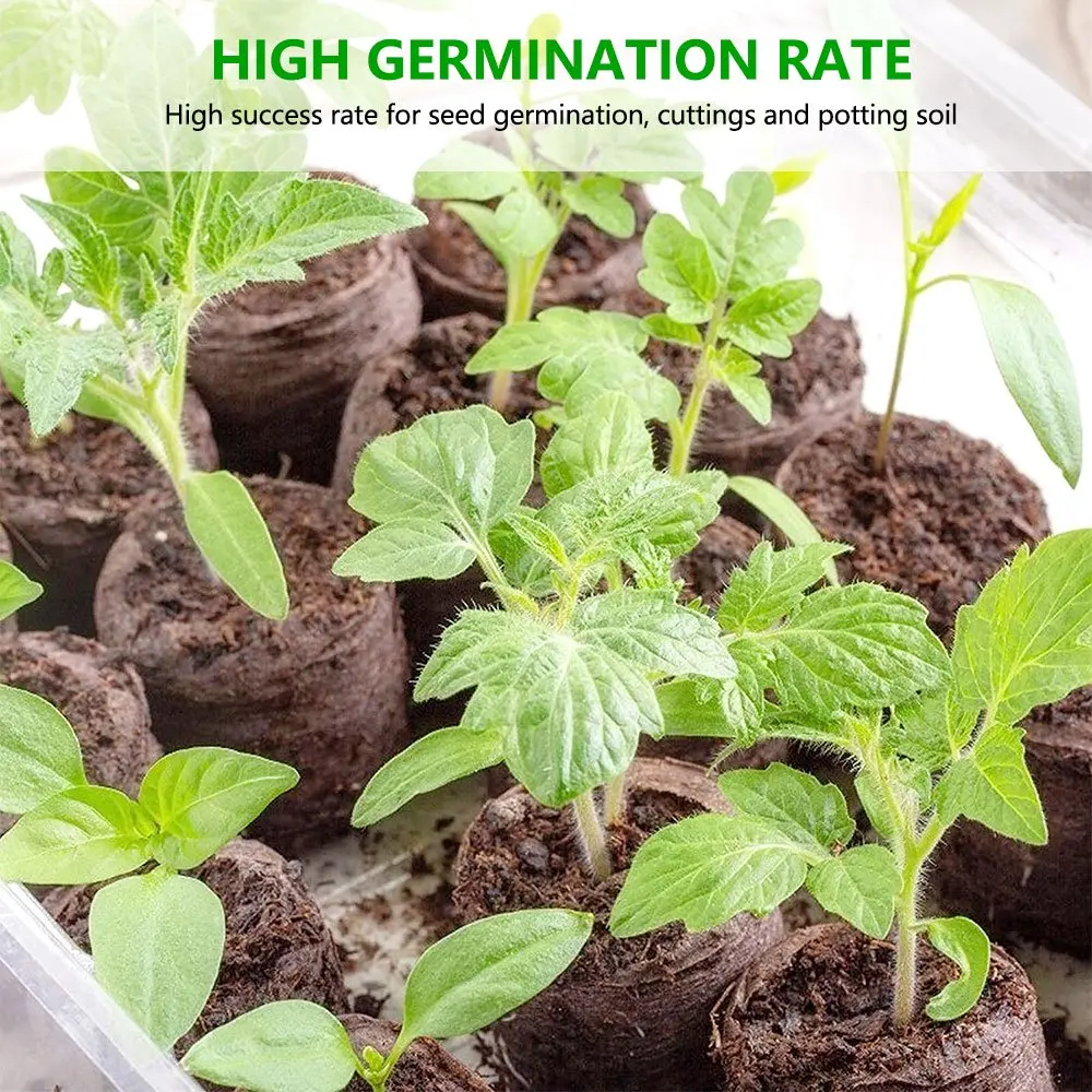 Поставка семян для садового сельского хозяйства стартовые блоки торфяной диск pith moss coco грунтовой блок