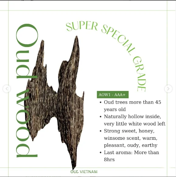 TOP The Best Cheapest Natural Ant Wood Oud Super Special Oud Sweet Luxurior Smell from PURE OUD WOOD