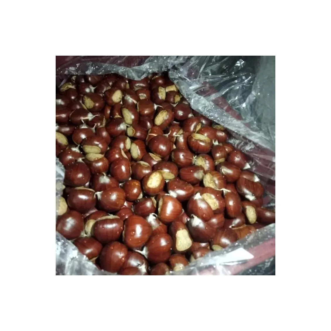 Chestnut Kennel Raw Fresh Chestnuts Organic Fresh Chest Nuts Peeled Roasted Kernels Low Price
