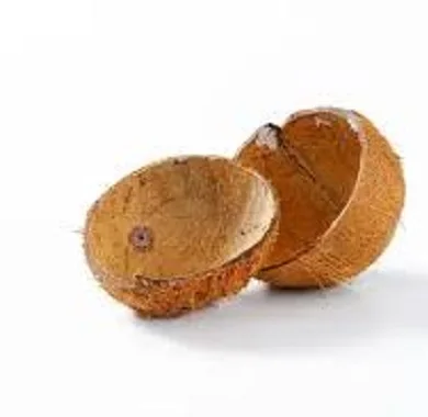 Quality Coconut Shell