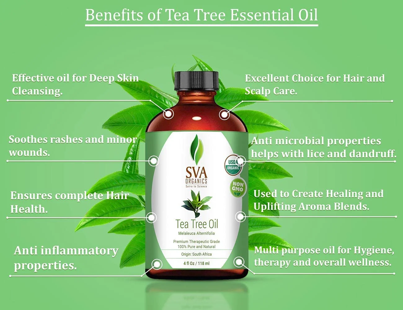 Bulk Wholesale Organic Tea Tree Pure Natural Essential Oil for Skin Care and Aromatherapy Indian manufacturer Cold Pressed Oil
