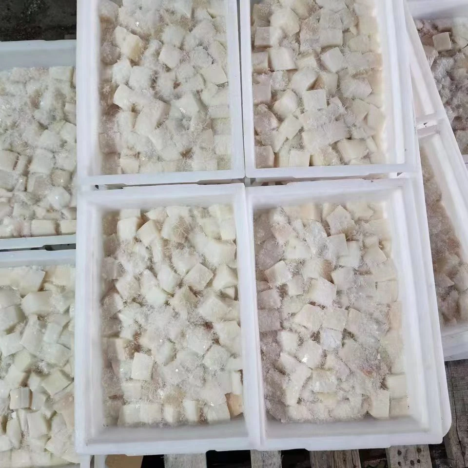 Blocks of Peru squid meat High-end At A Good Price Peru Giant Squid Fillet/meat Seafood Importers