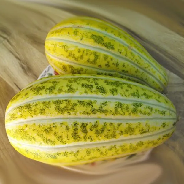 Wholesale High Quality Best Price 100% Natural Frozen Melon Fruit Shipping From Viet Nam Ms Sophie