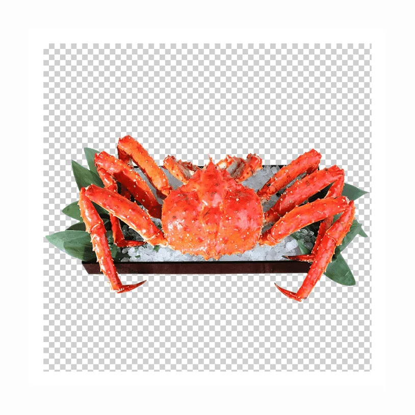 Fresh Red King Crab Fresh/frozen/live Red King Crabs