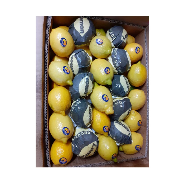 Exporter of Good Quality Top Selling Delicious and Nutritious Yellow Juicy Citrus Fruit Fresh Adalia Lemon from Egypt