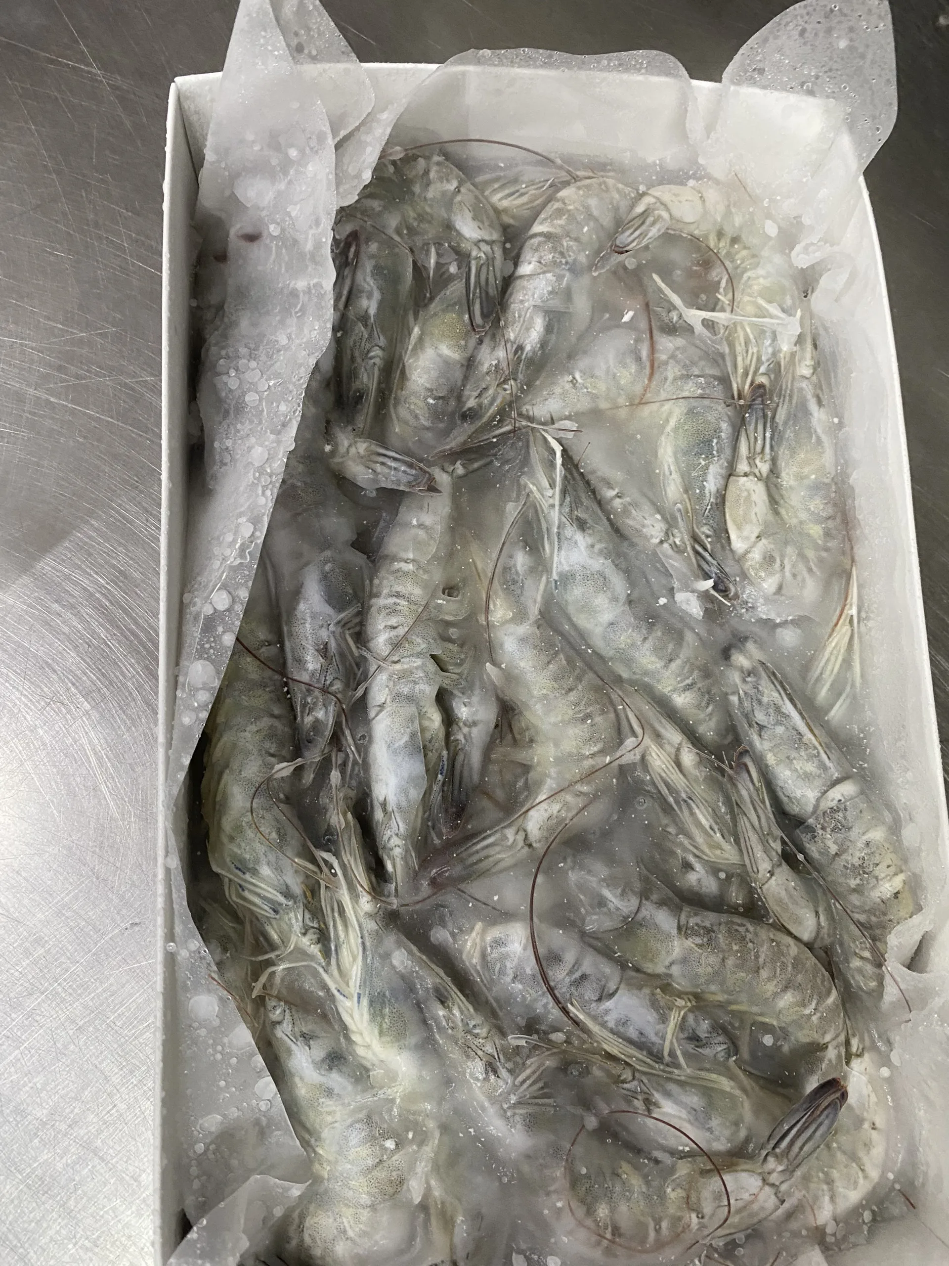 Vannamei Shrimp HOSO High quality IQF frozen fresh Best quality shrimp undivided with a head of  Vietnamese direct supplier