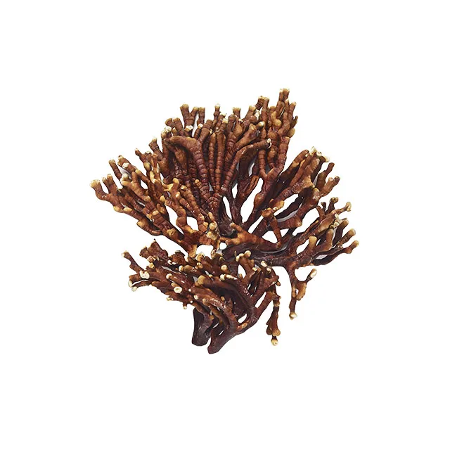 [Yeoul Nongsan] рог оленя reishi 200 г, исключительное качество, Премиум гриб, Сделано в Корее, надежная компания