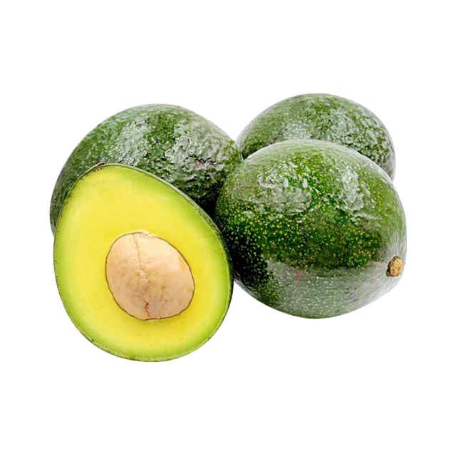 BOOTH AVOCADO 100% FRESH HIGH QUALITY PRODUCED IN VIET GREAT PRICE