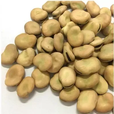 fava beans broad beans price Now Wholesale High quality Salted Broad Beans Chips, fried broad bean chips,fava beans