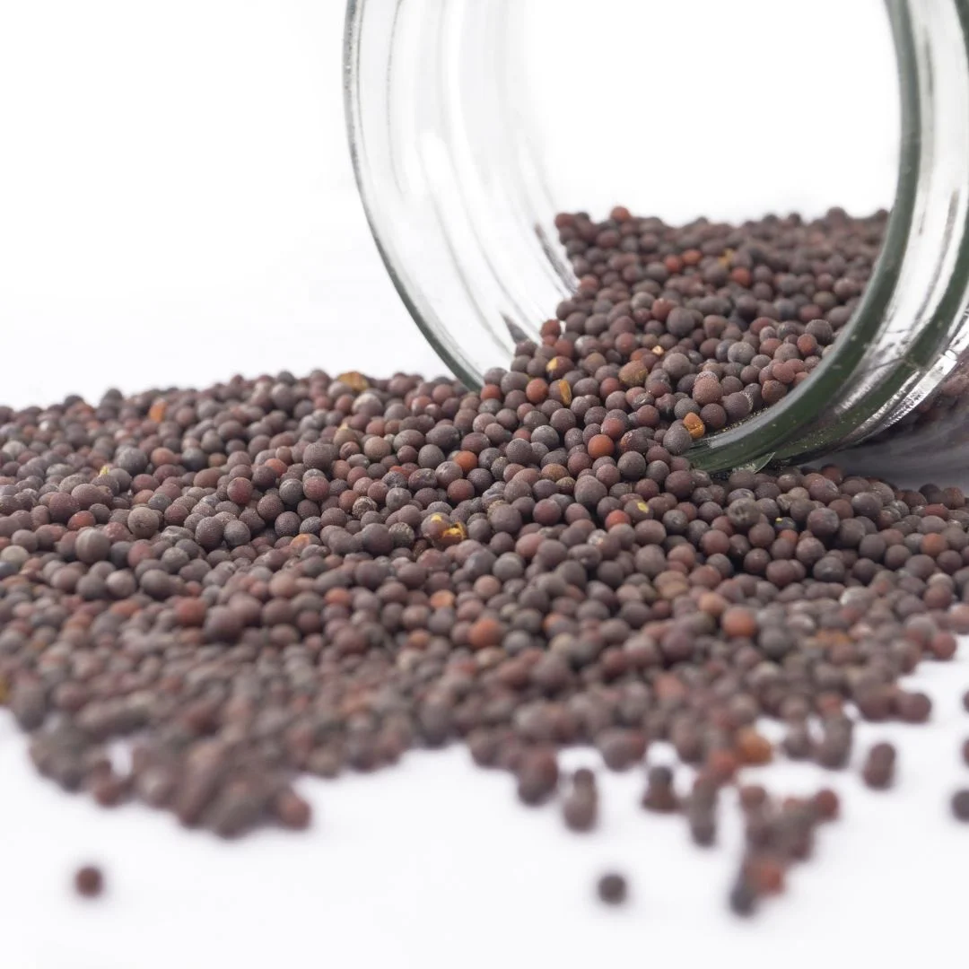 Новое поступление, семена натуральной горчицы, сорта, пищевые специи, семена горчицы, оптовая цена