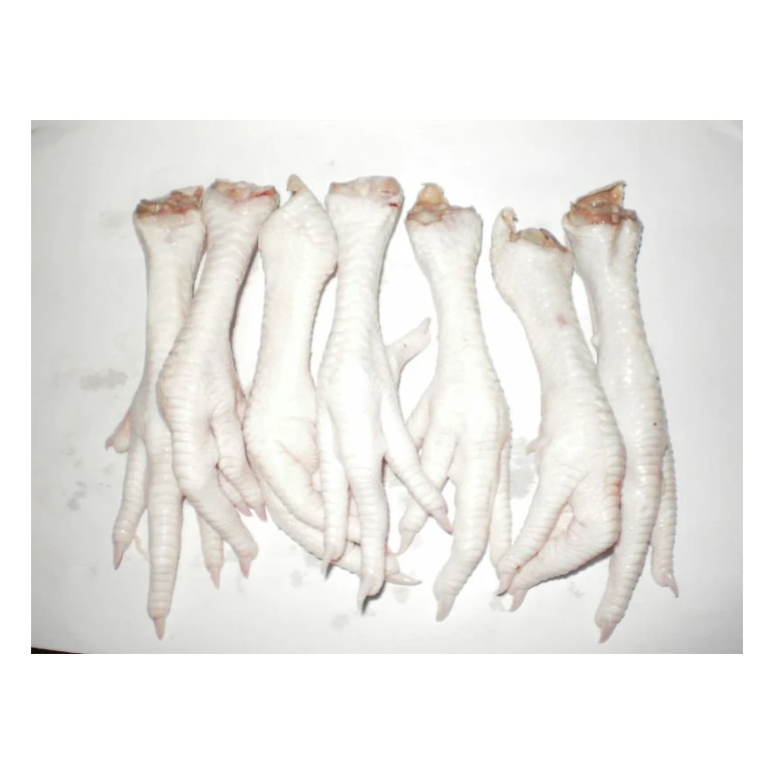 High Quality chicken leg Wholesale Prices Fresh Frozen Halal Frozen Chicken Feet/Paws for Sale