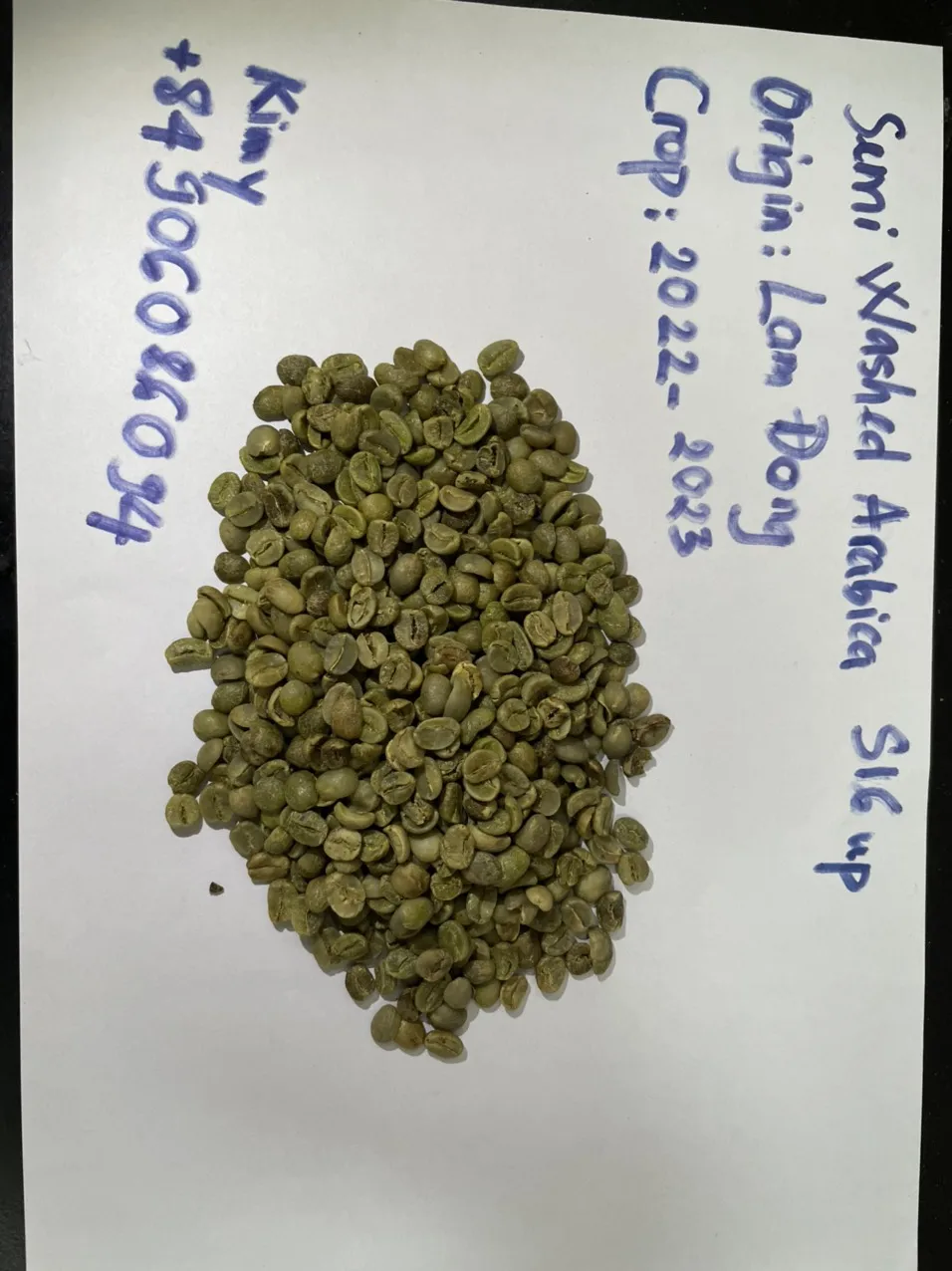 Color Weight Variety Shelf Origin Type Life Coffee Beans Green Coffee Beans Arabica Semi Washed S16  HUNG TAM VN from Vietnam