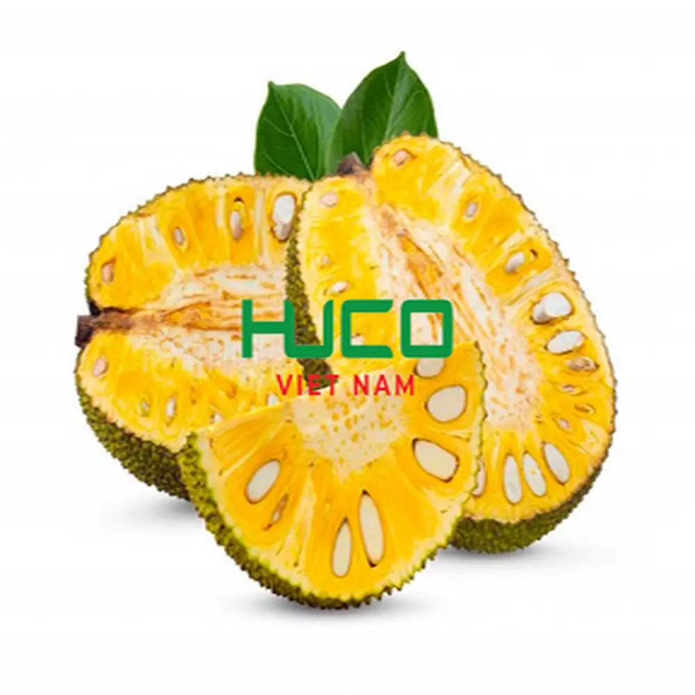 Vietnam Fresh Jackfruit 100% organic at Farm Price
